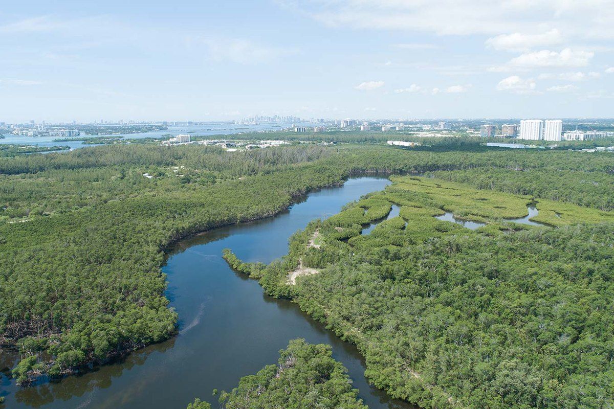 Aerial view of the Oleta River winding through mangrove forest towards Biscayne Bay