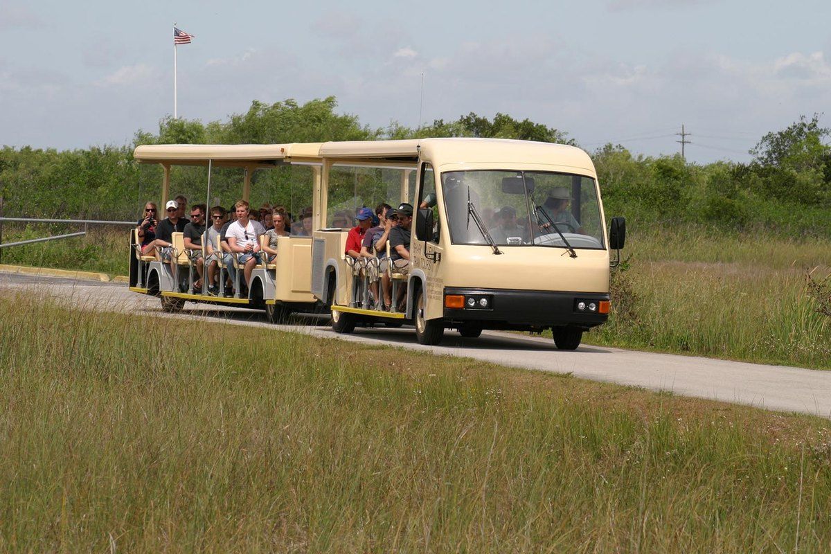 An open-air tram full of visitors on the Shark Valley loop road through the sawgrass of the Everglades