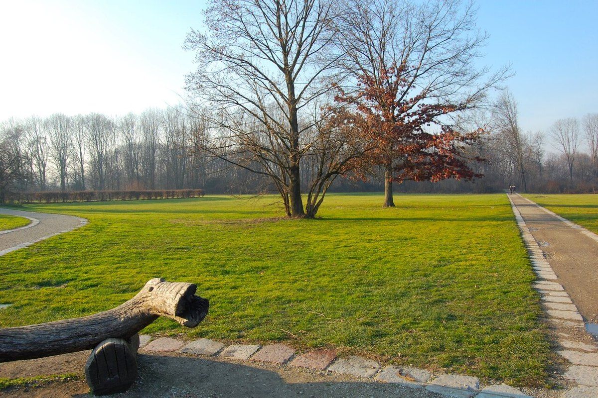 Lawns, paths and bare winter trees in Boscoincittà, the urban forest on Milan's western edge