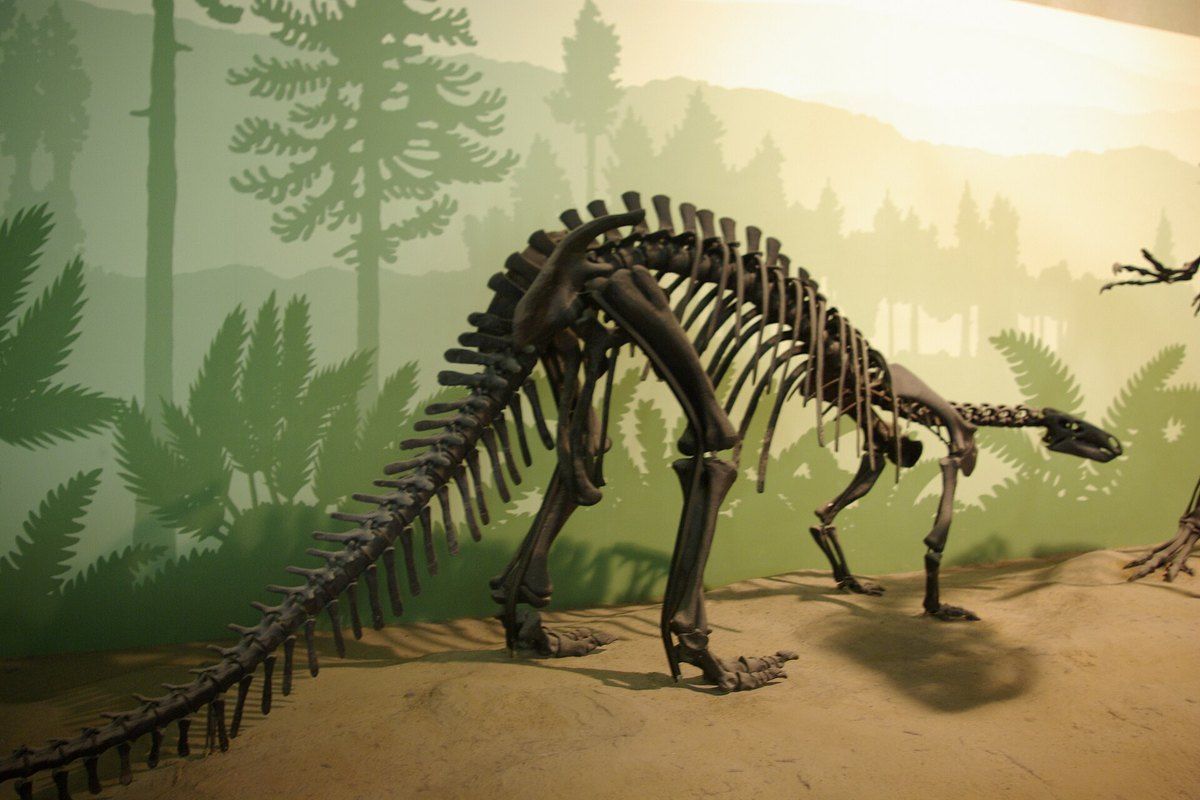 A dinosaur skeleton in front of a painted prehistoric forest in the dinosaur hall of Milan's Natural History Museum