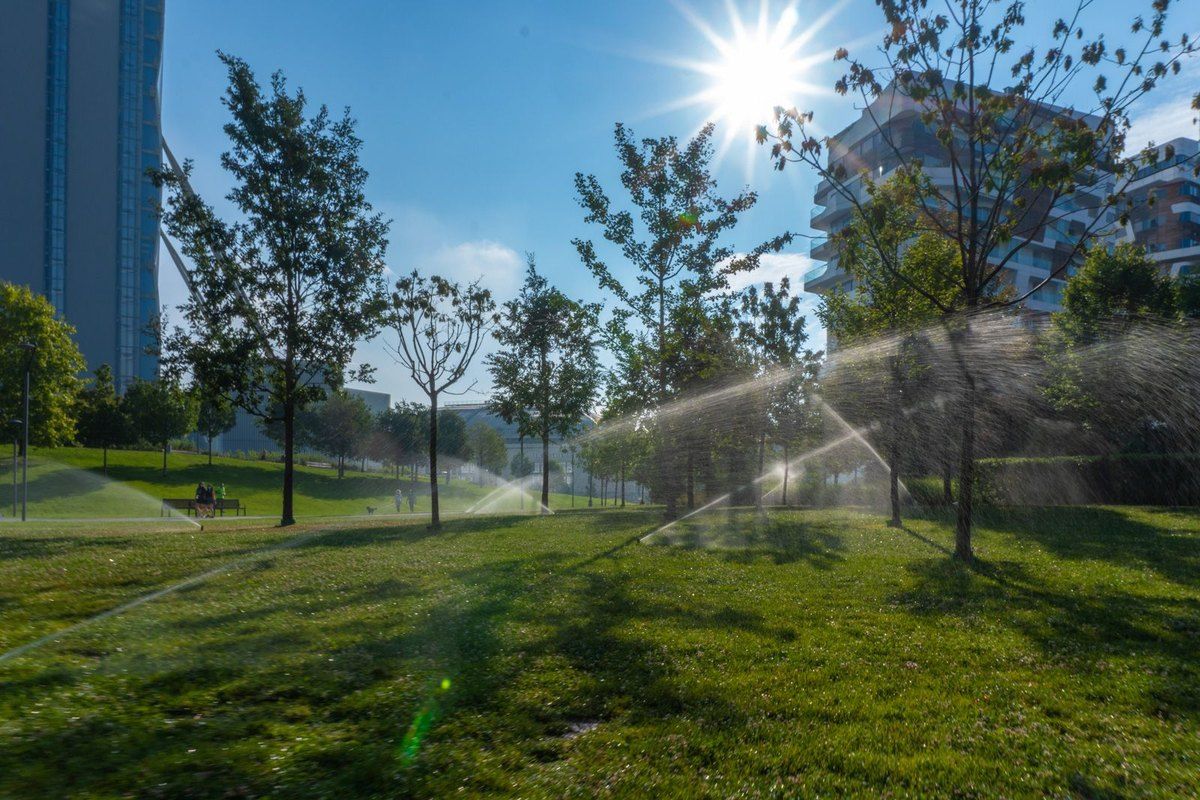 Sunlit lawns and young trees in the CityLife park, with the residential towers behind