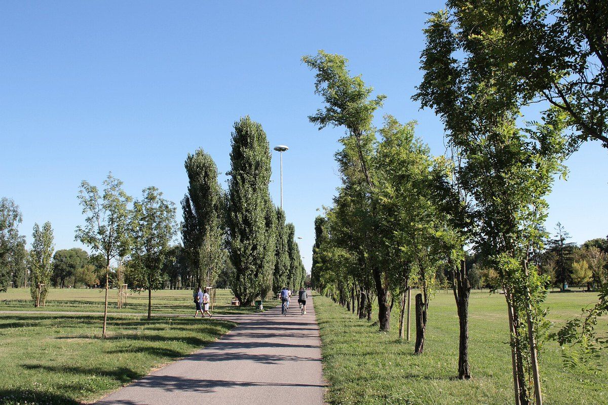 A tree-lined path across the open meadows of Parco di Trenno, Milan