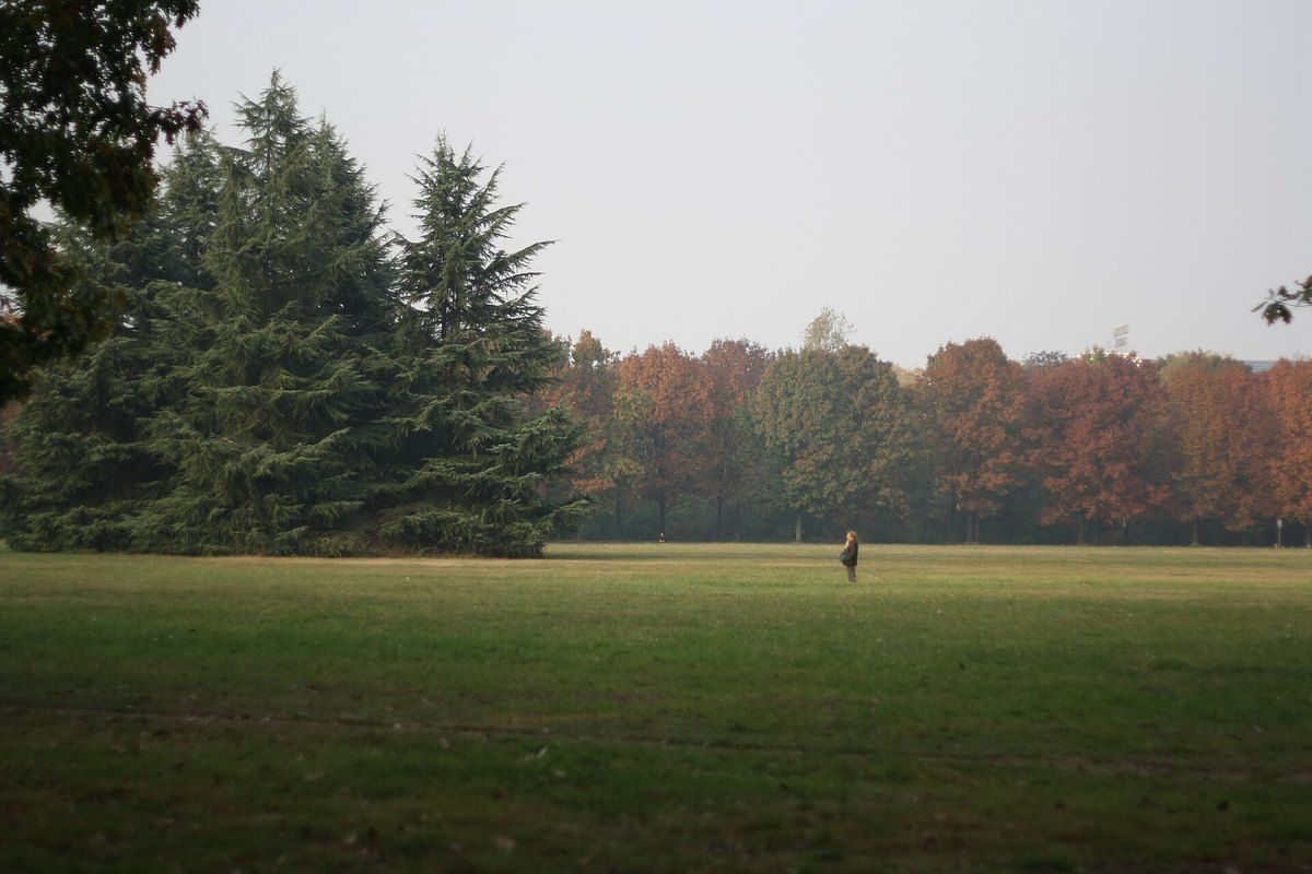 Wide meadows and autumn woods in Parco Nord Milano