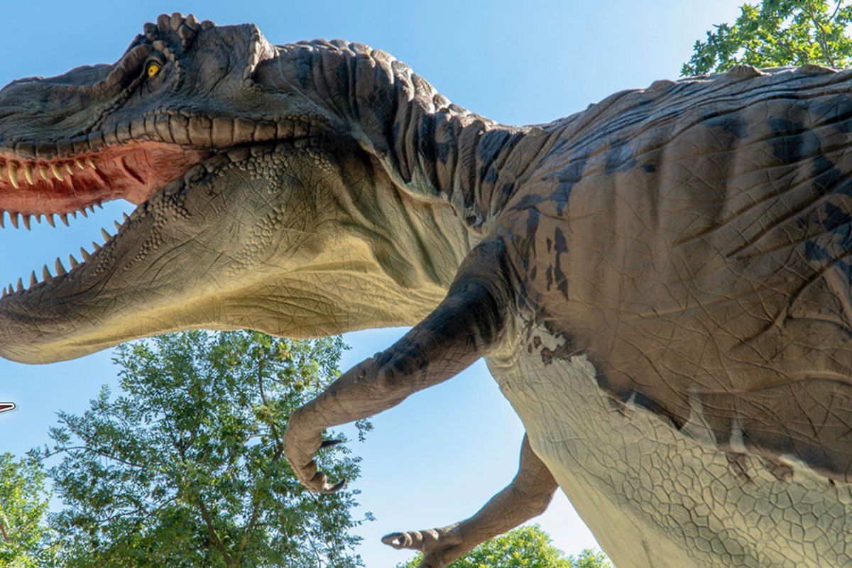 A life-size Tyrannosaurus reconstruction among the trees of the Parco della Preistoria, Rivolta d'Adda