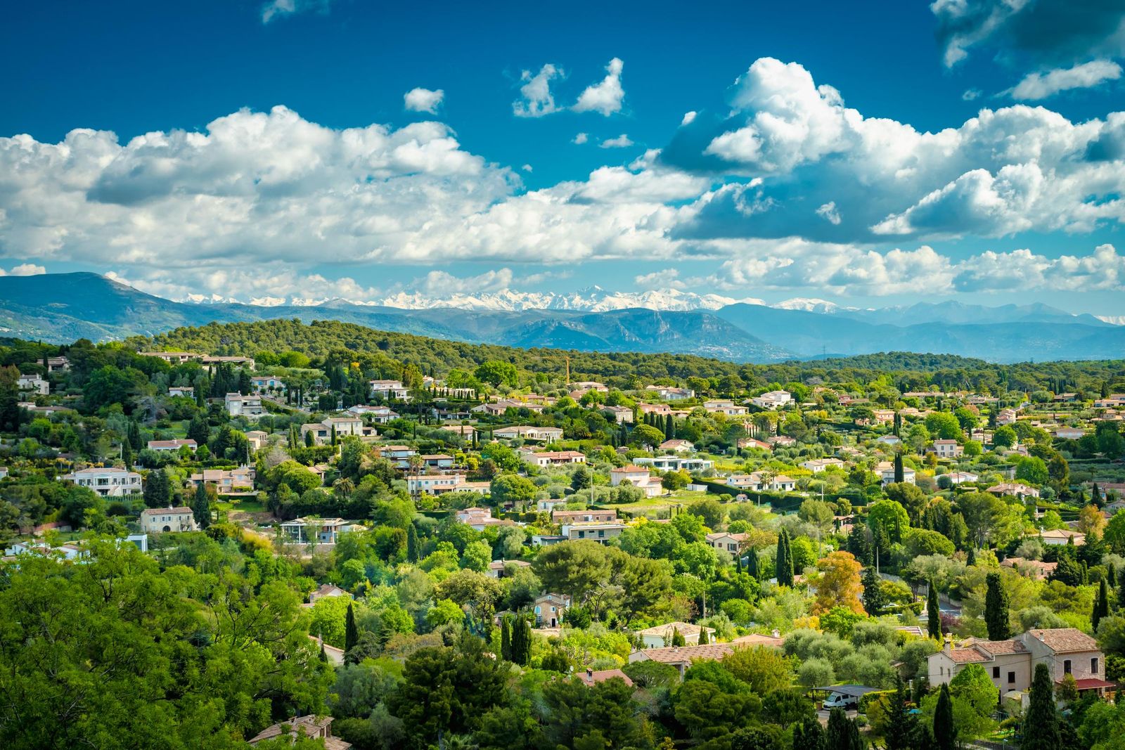 Country houses among the trees of Mougins
