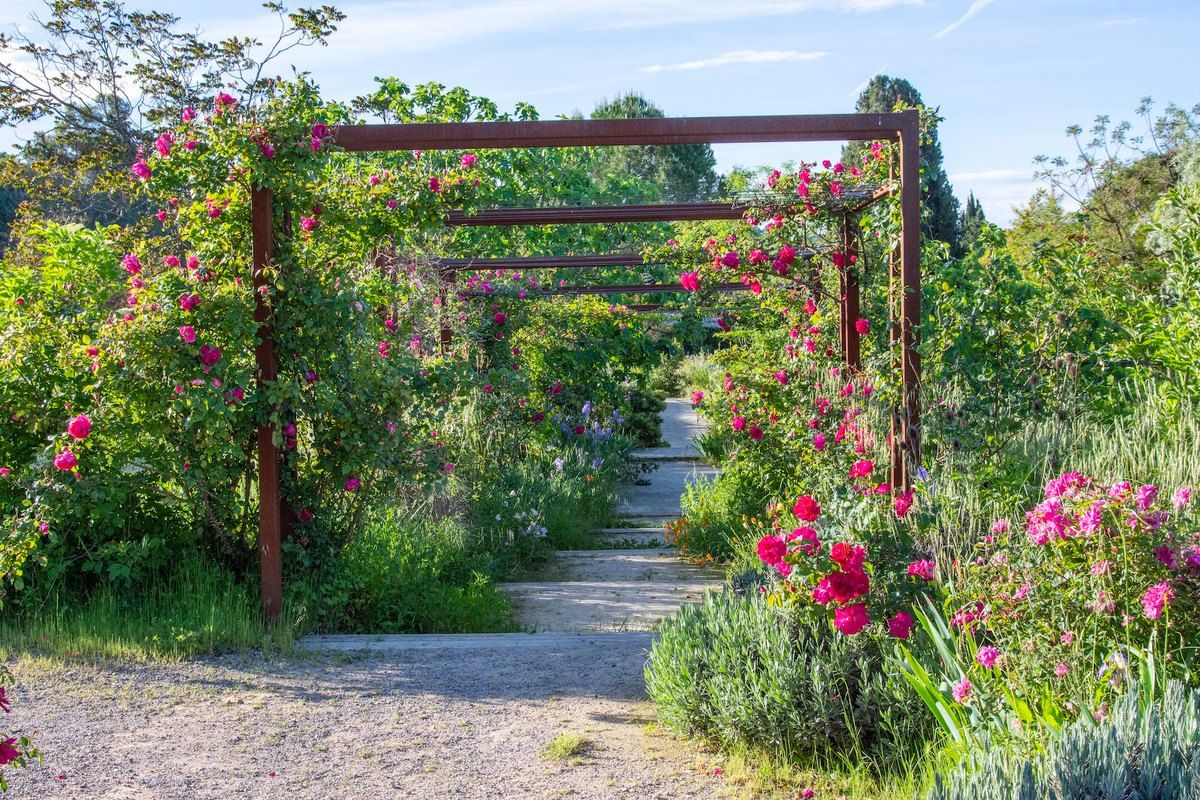A pergola walk through the planted beds of the International Perfume Museum Gardens in Mouans-Sartoux
