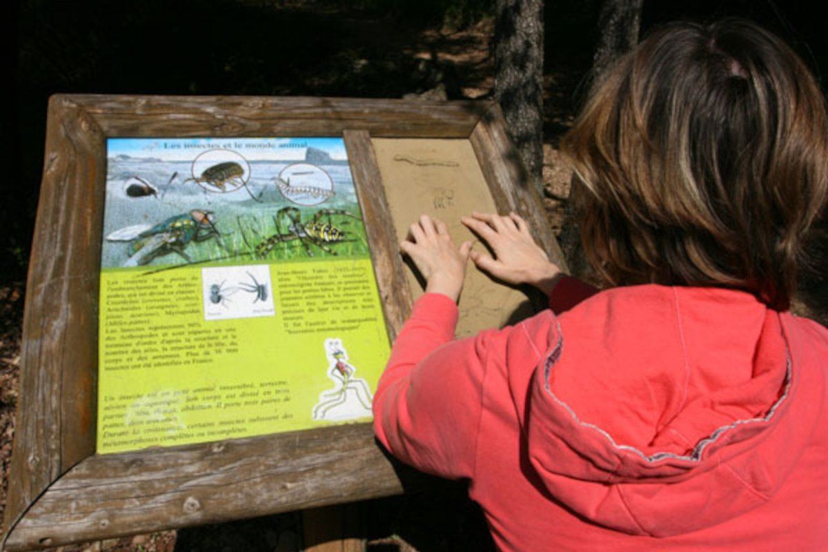 A child reading a raised interpretation panel on the insect discovery trail in the Valmasque park