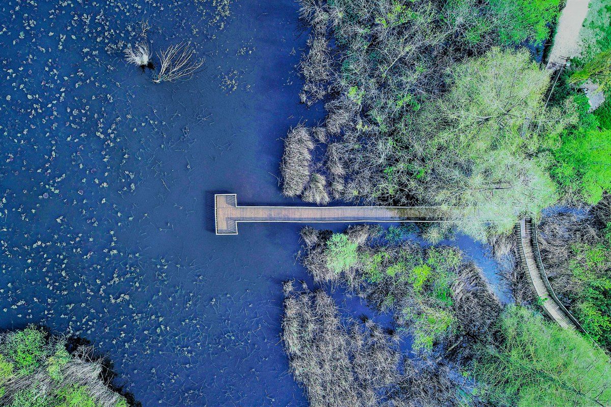 Aerial view of the Étang de Fontmerle, its jetty and the surrounding woods of the Valmasque