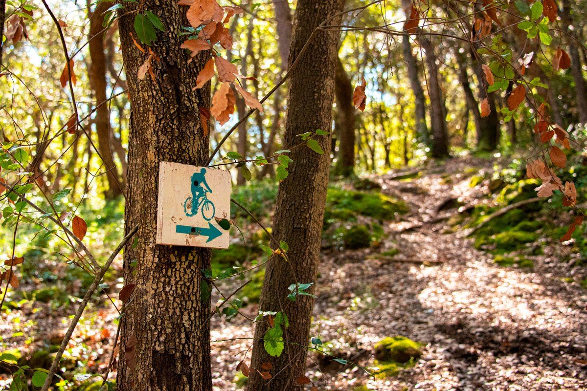 A waymarked woodland path through pines and undergrowth in the Valmasque park