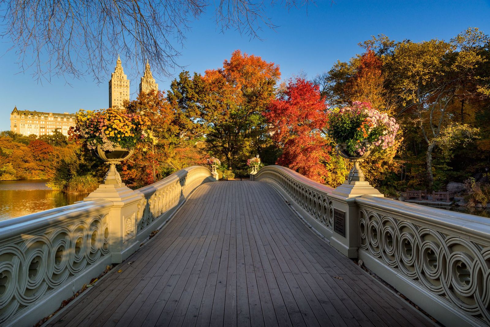 Bow Bridge and The Lake in Central Park in autumn