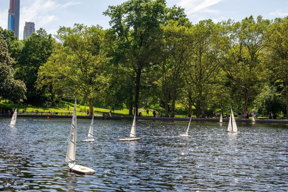 Model sailboats on Conservatory Water in Central Park, framed by summer trees