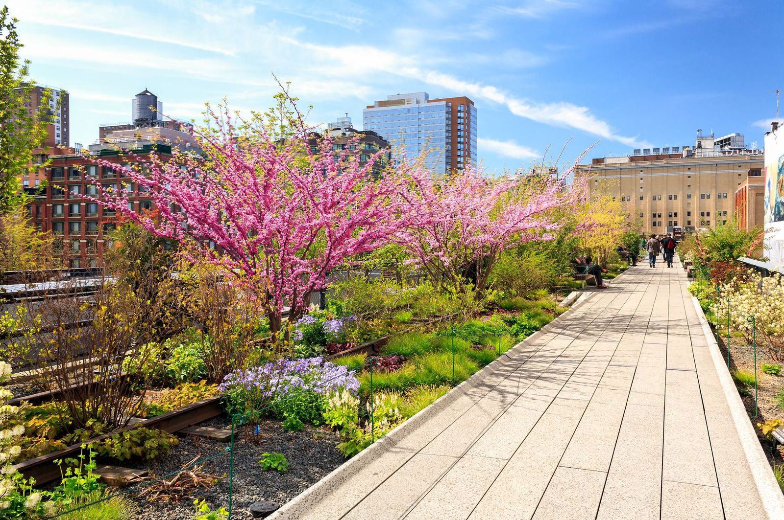 The High Line in spring