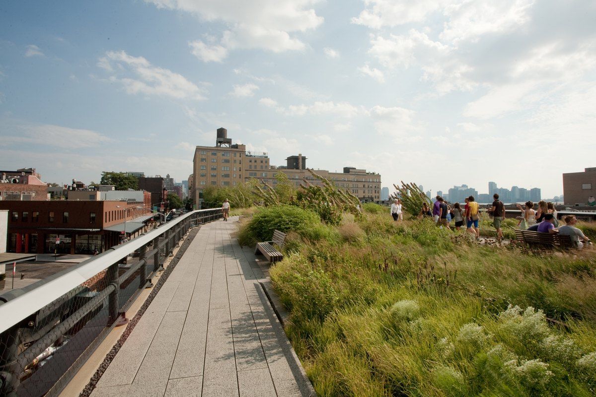 The planted walkway of the High Line running between wild grasses above the West Side