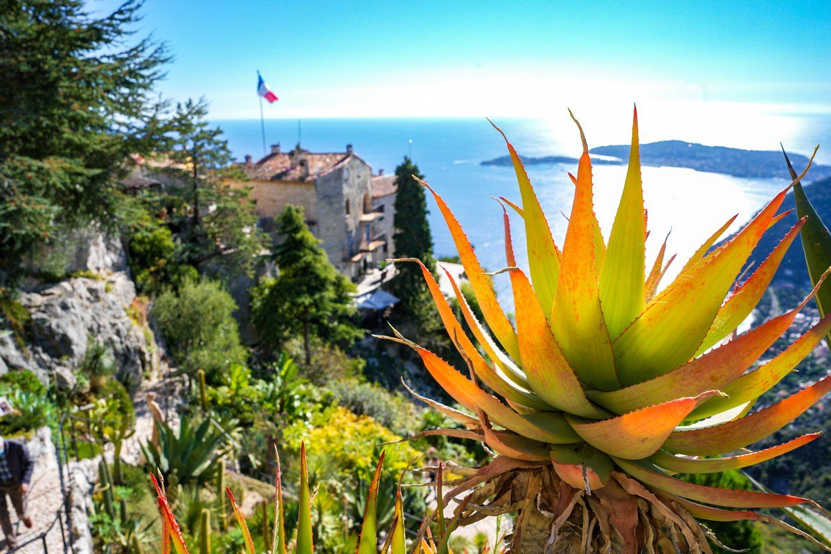 A spiky agave above the rooftops and the sea in the Jardin Exotique d'Èze