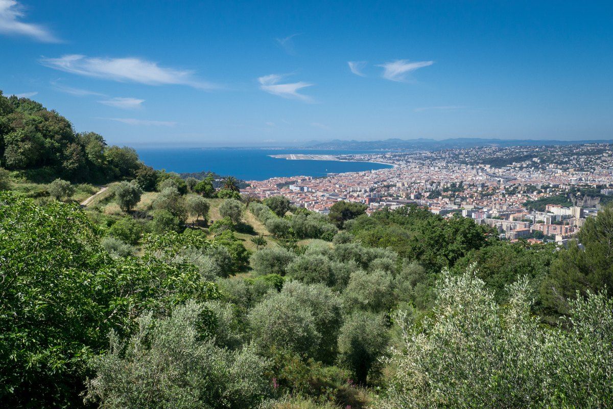 Olive terraces of the Parc du Vinaigrier looking down over Nice and the sea