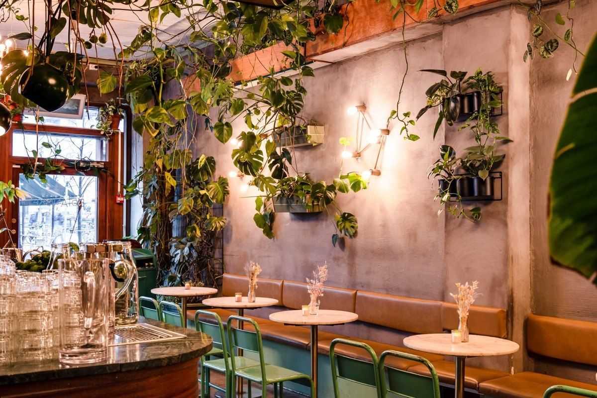 Plants trailing from the walls and ceiling above marble tables and green chairs at Torggata Botaniske