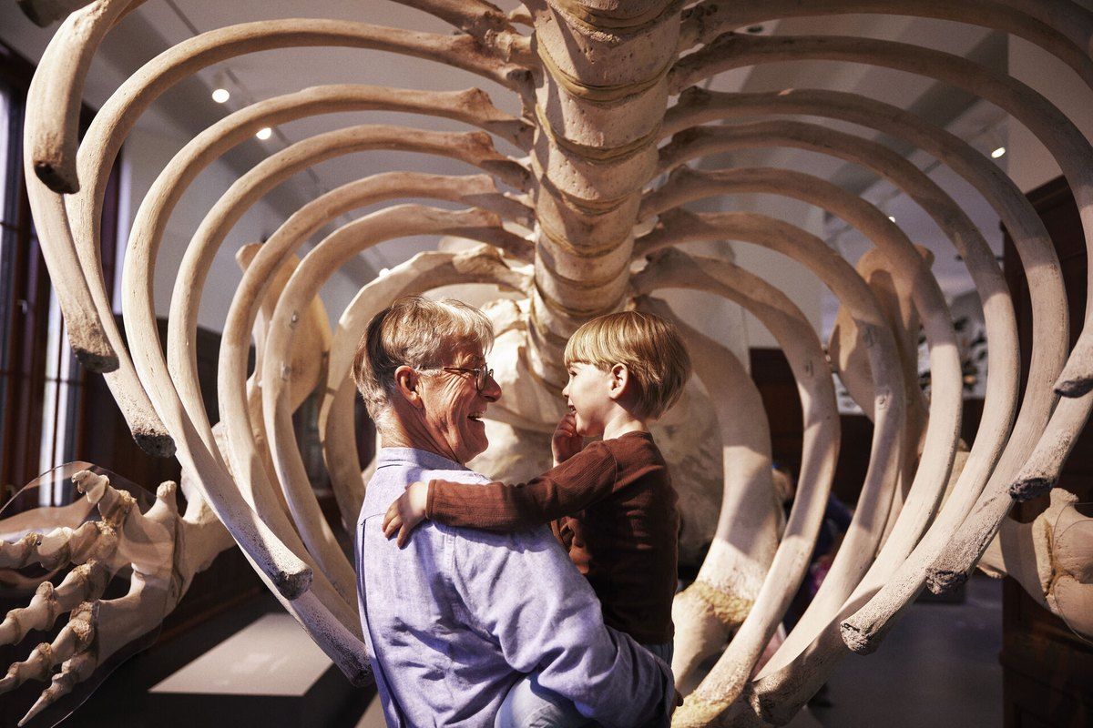 A grandfather holding a small boy beneath a huge whale skeleton at the Natural History Museum in Oslo
