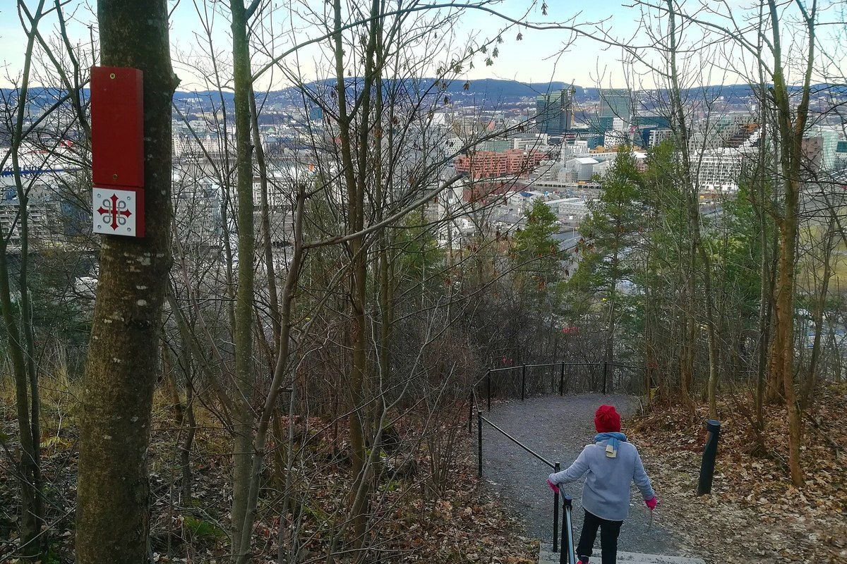 A child on the woodland stairs in Ekebergparken with the city of Oslo below through the bare trees