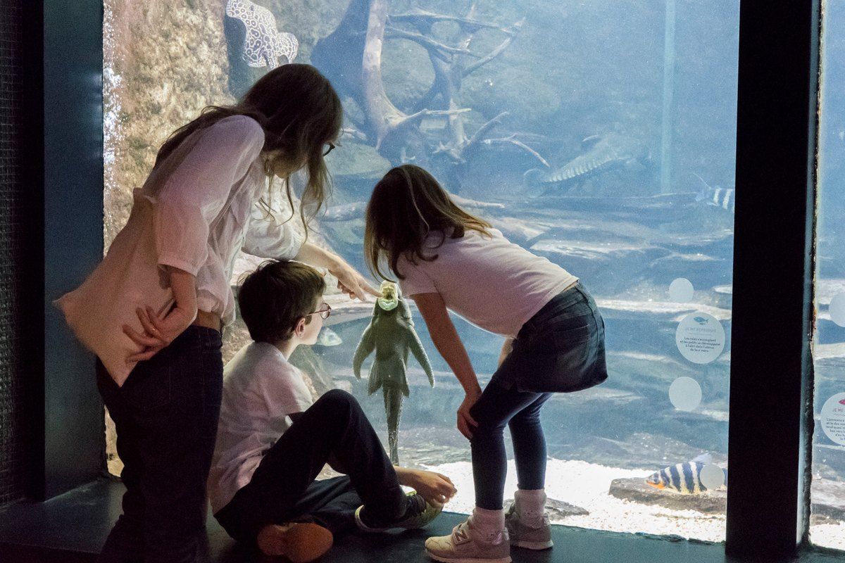 The Aquarium tropical in the Palais de la Porte Dorée
