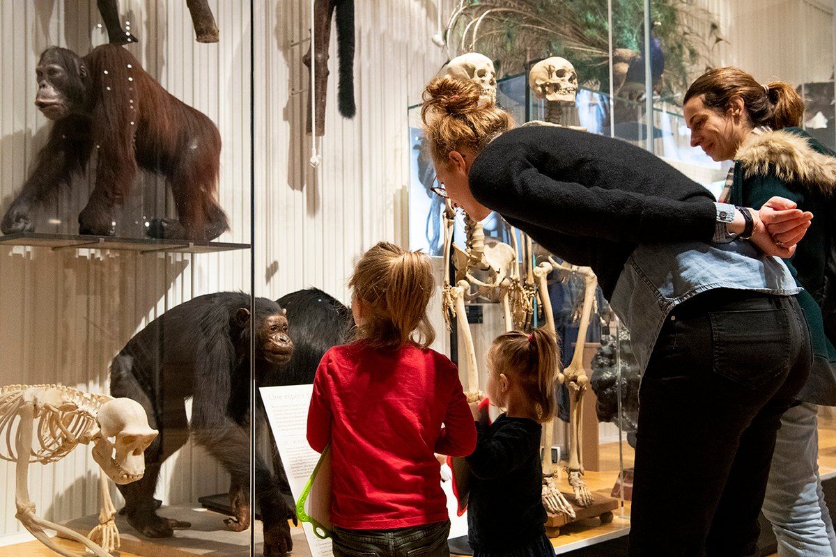A family visit to the Musée de l'Homme