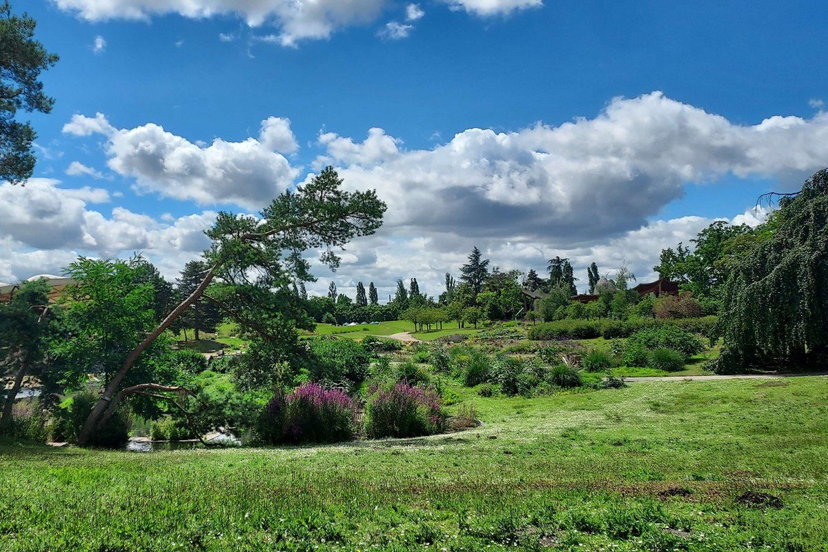 The Parc Floral de Paris in the Bois de Vincennes