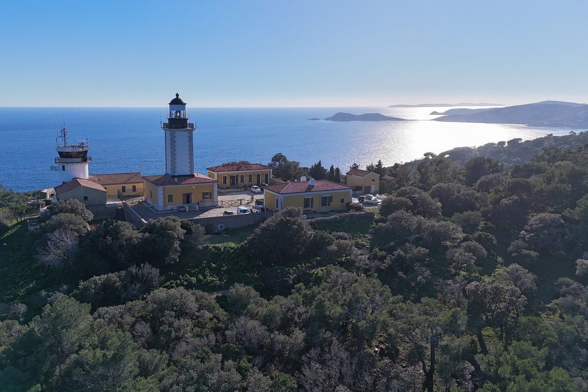 The Phare de Camarat above the pines of Cap Camarat, with the sea and islands beyond