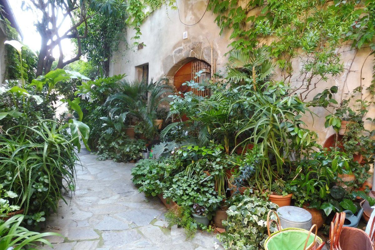 A stone lane lined with plants and climbers in the village of Ramatuelle