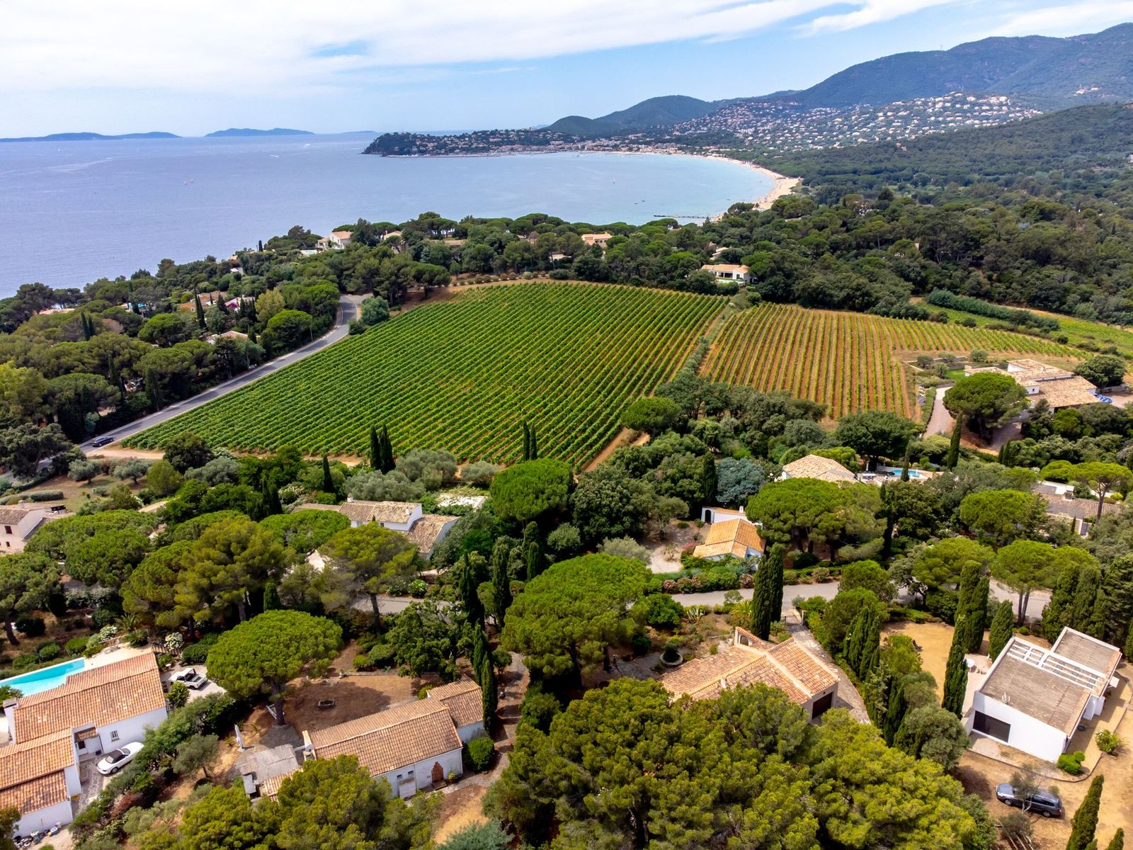 Vineyards and houses on the hills near Pampelonne and Saint-Tropez, from the air