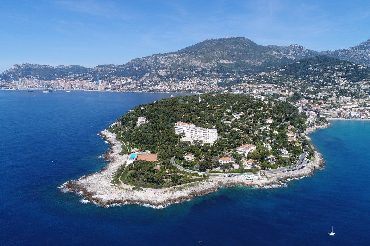 Aerial view of the wooded tip of Cap Martin and its rocky shore, with Menton and the mountains behind
