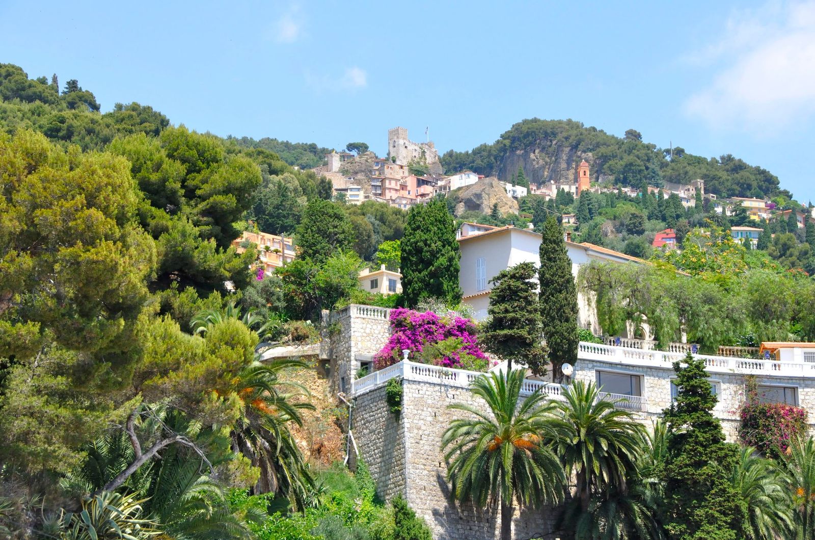 A villa among the palms in Roquebrune-Cap-Martin