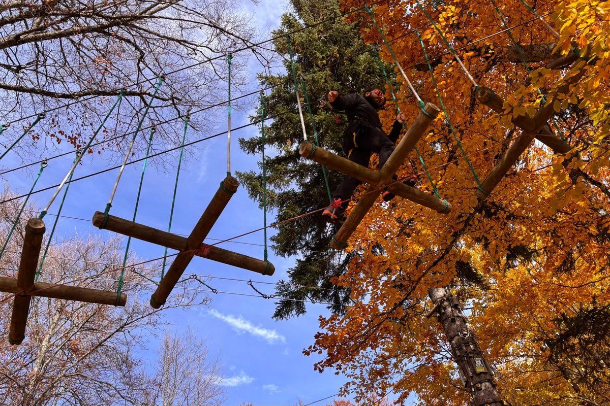 Rope bridges and wooden crosses of a tree-top course among autumn leaves at AccroCamp Saint-Germain-en-Laye