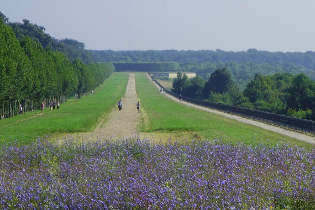 Le Nôtre's Grande Terrasse at Saint-Germain-en-Laye running into the distance beside the forest, with purple flowers in the foreground
