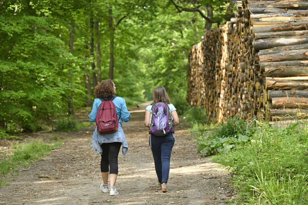 Two walkers with backpacks on a woodland track past stacked logs in the forest of Saint-Germain-en-Laye