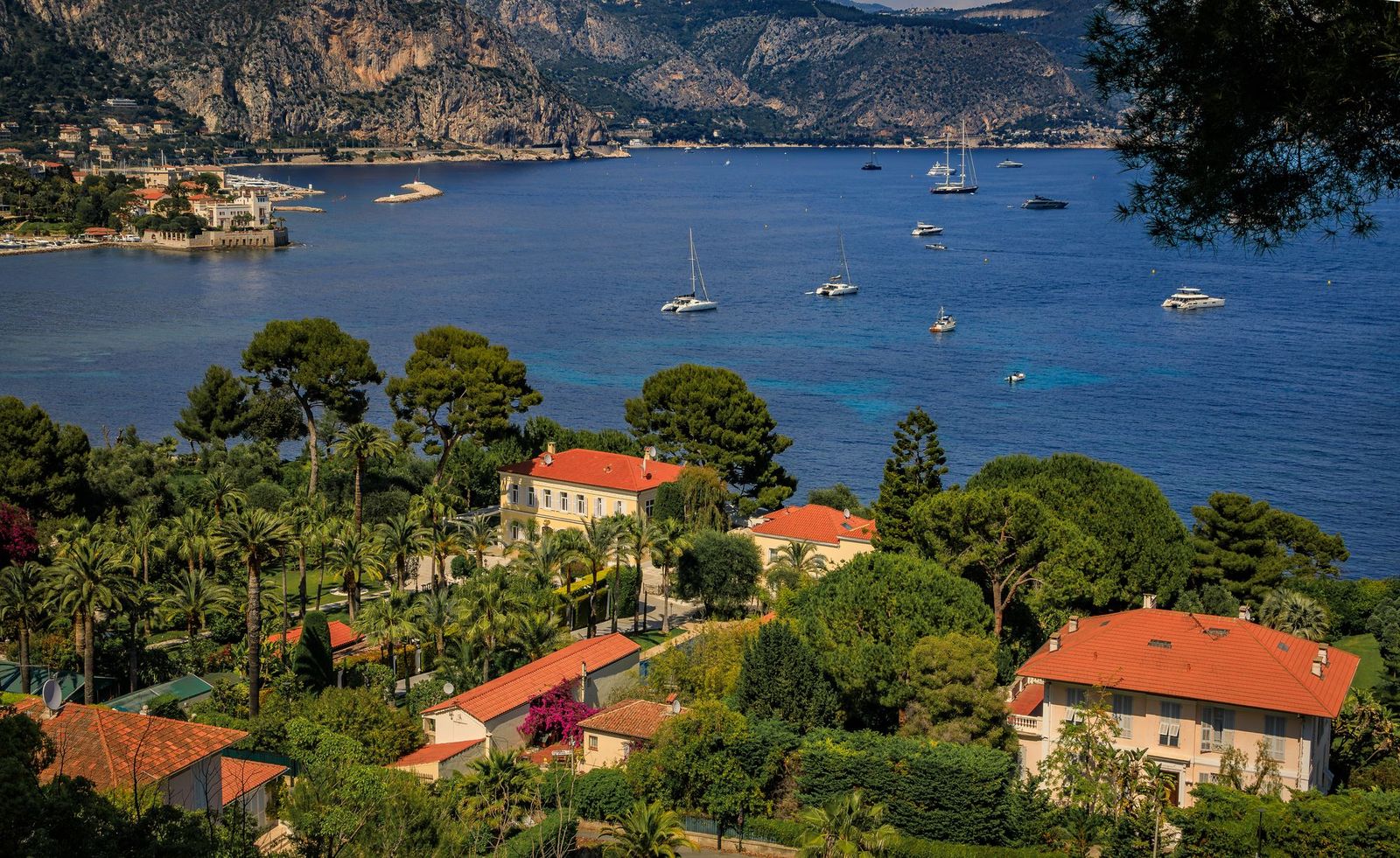 Villas among the pines on the Cap Ferrat peninsula