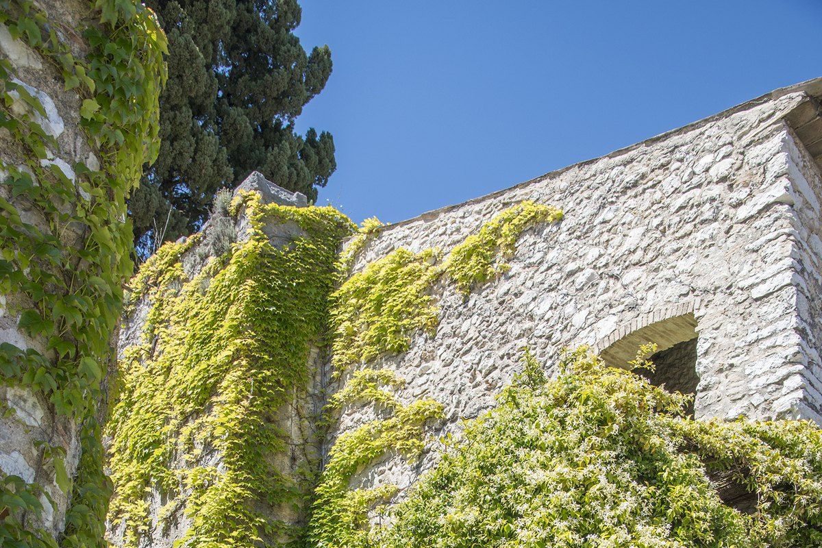 Ivy-covered stone steps climbing between old walls on the path from Saint-Paul de Vence towards Vence