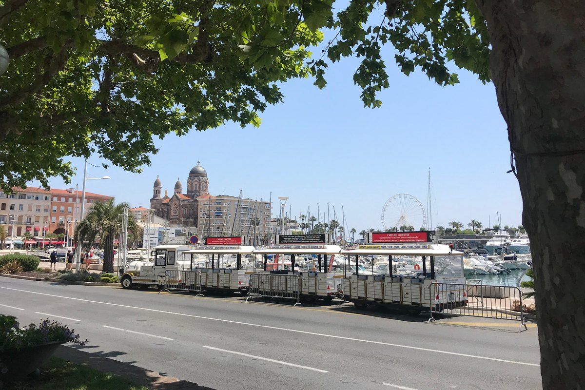 Saint-Raphaël's little tourist train on the harbour road, framed by a plane tree, with the basilica beyond