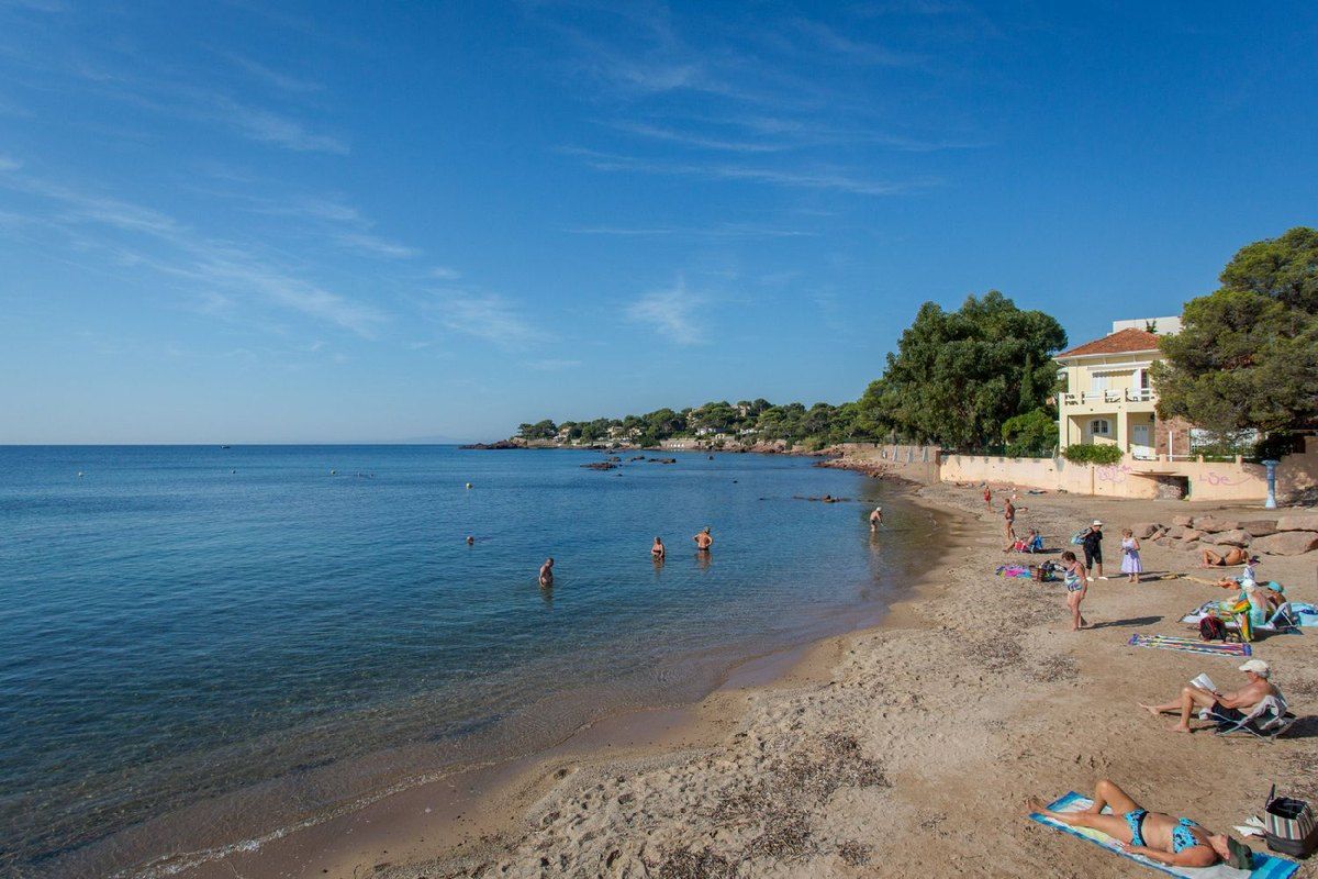 The small sandy beach of La Péguière at Boulouris, with clear shallow water and villas among the pines