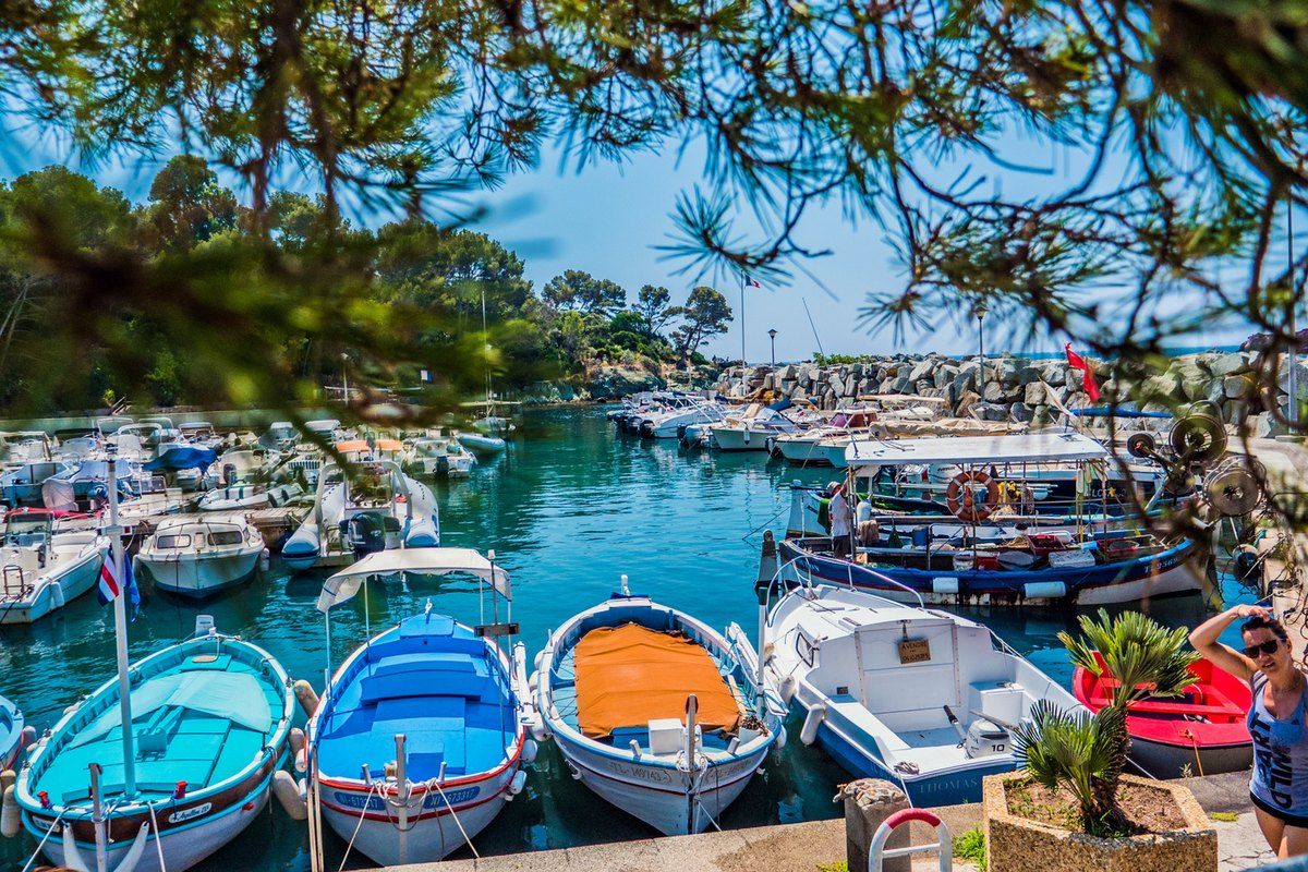 Painted wooden fishing boats moored in the little Port du Poussaï at Boulouris, seen through pine branches