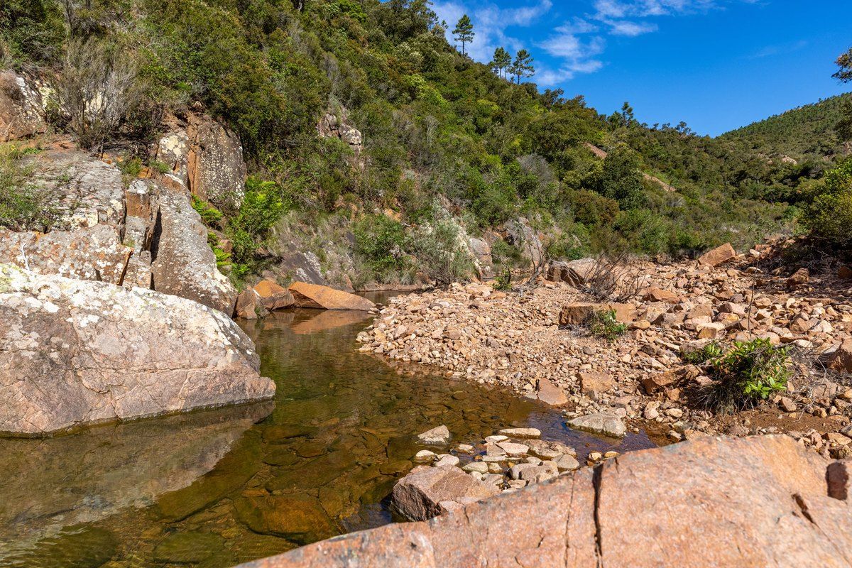A stream pool among red rocks and green scrub in the Mal Infernet ravine