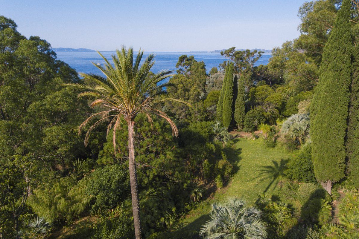 Palms and cypresses in the Jardin des Méditerranées at the Domaine du Rayol, with the sea beyond