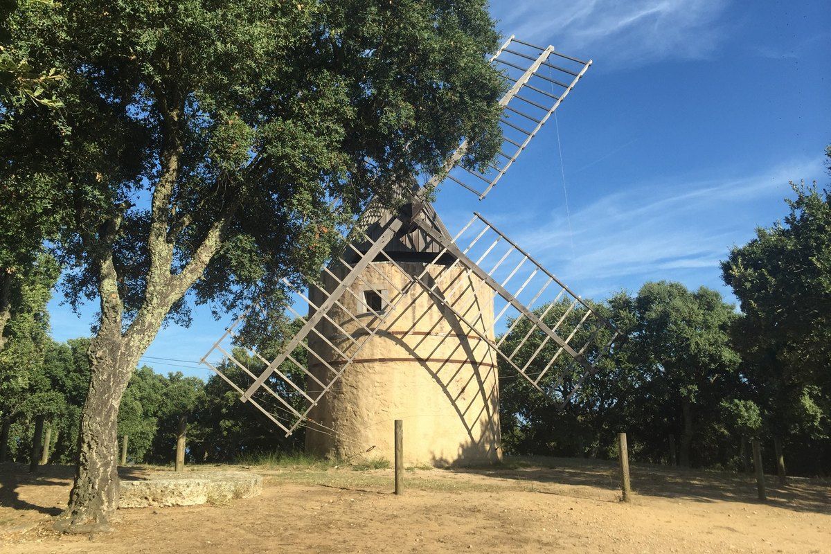 The restored Moulin de Paillas with its sails among oaks on the ridge above Ramatuelle