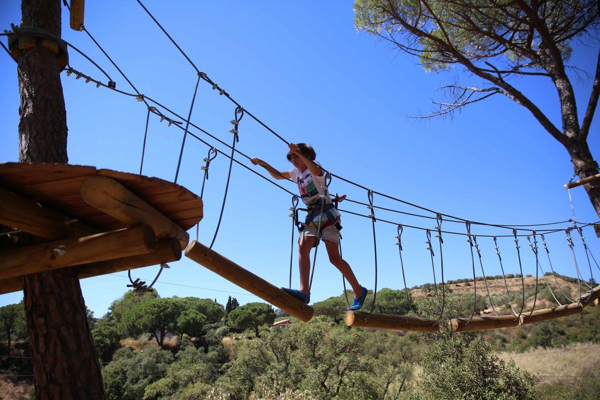A climber crossing a rope bridge between pine trees at Accrobranche Aventure Famille in Sainte-Maxime