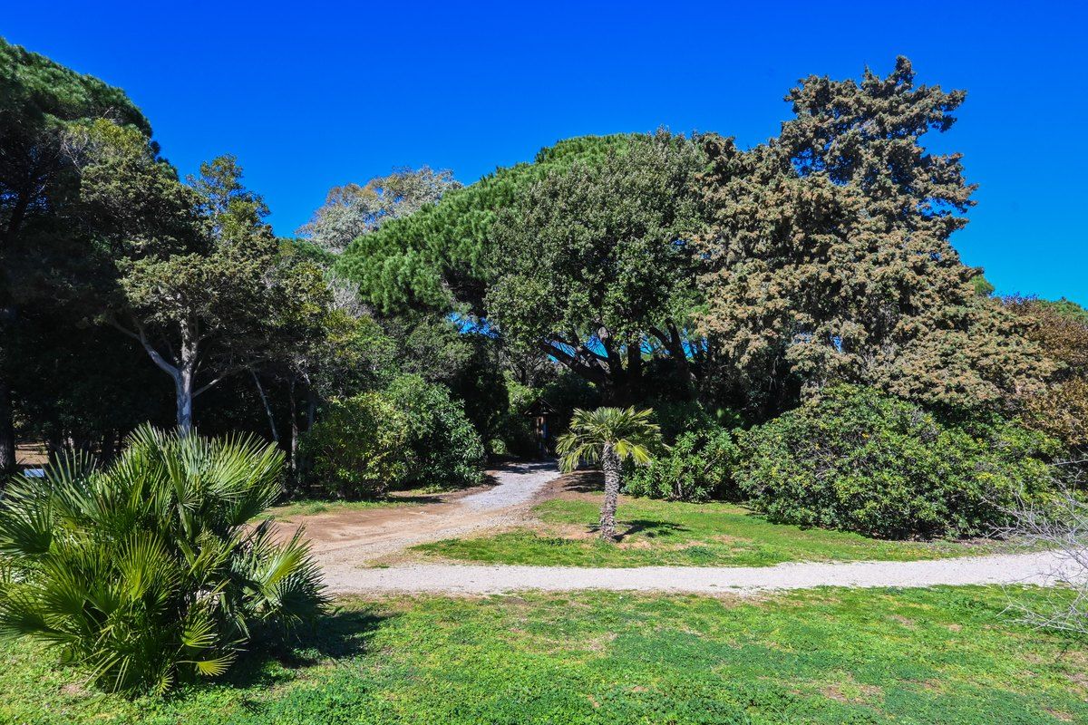 Lawns, palms and pines in the Jardin botanique des Myrtes, Sainte-Maxime