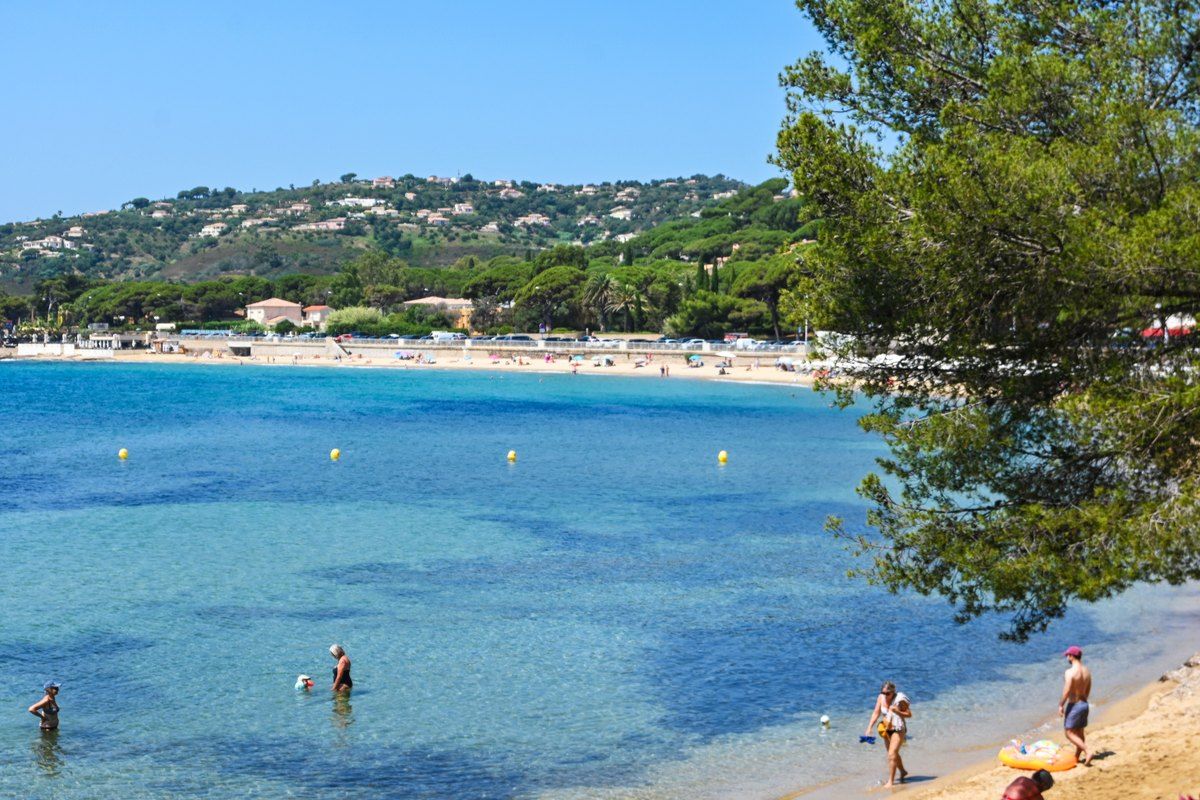 Swimmers in the turquoise bay of the Plage de la Garonnette, framed by pine branches