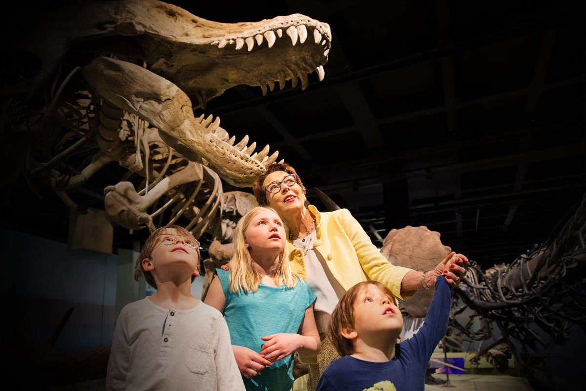 A guide and three children looking up at dinosaur skeletons in the Swedish Museum of Natural History