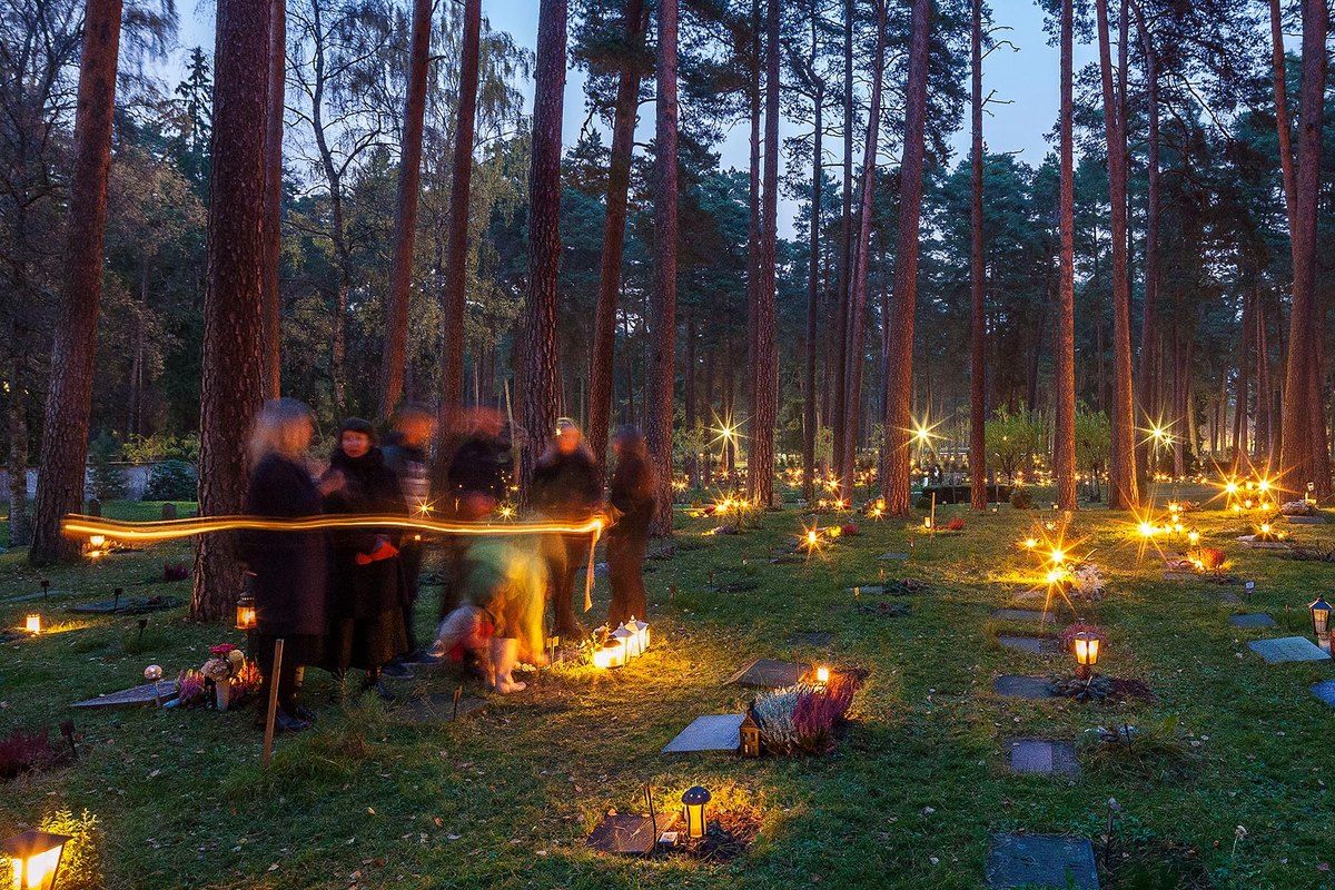 Hundreds of grave candles glowing among the tall pines of Skogskyrkogården at dusk on All Saints' weekend