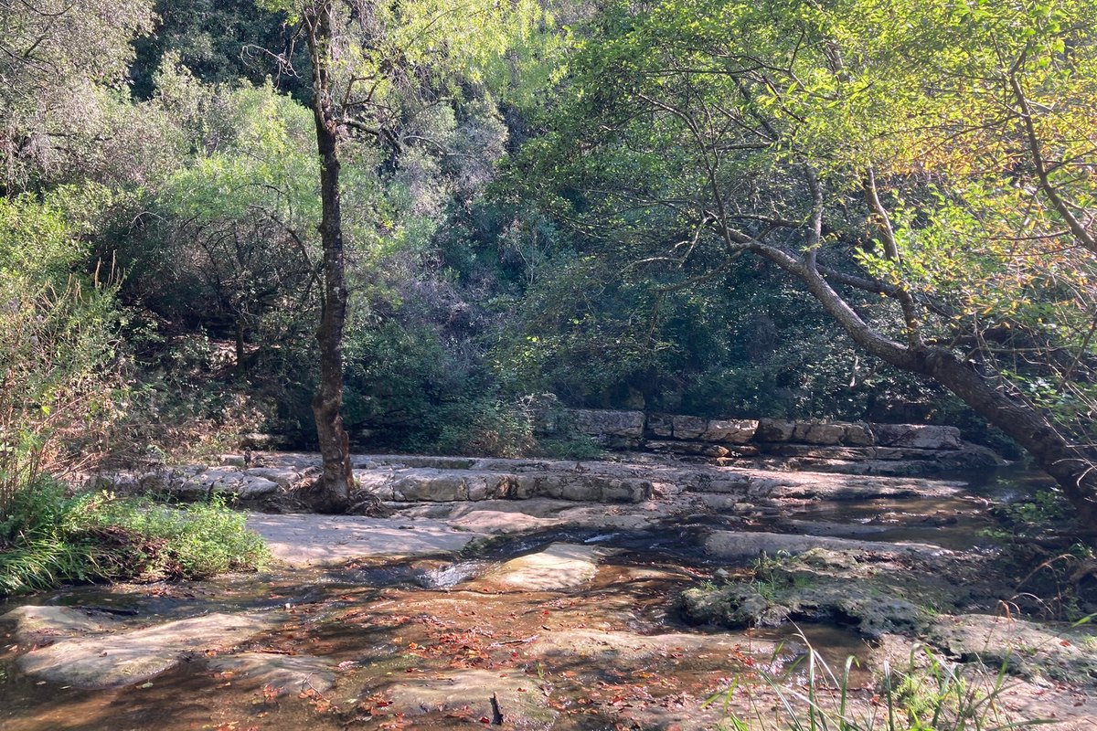 Shallow water over flat rocks on the Brague between Valbonne and Biot, framed by trees