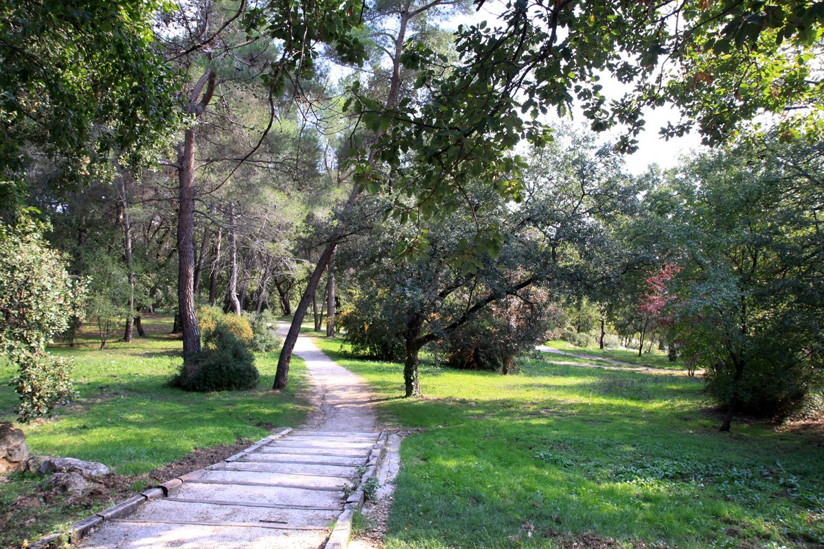 A paved path through lawns and pines in the Parc des Bouillides at Sophia Antipolis