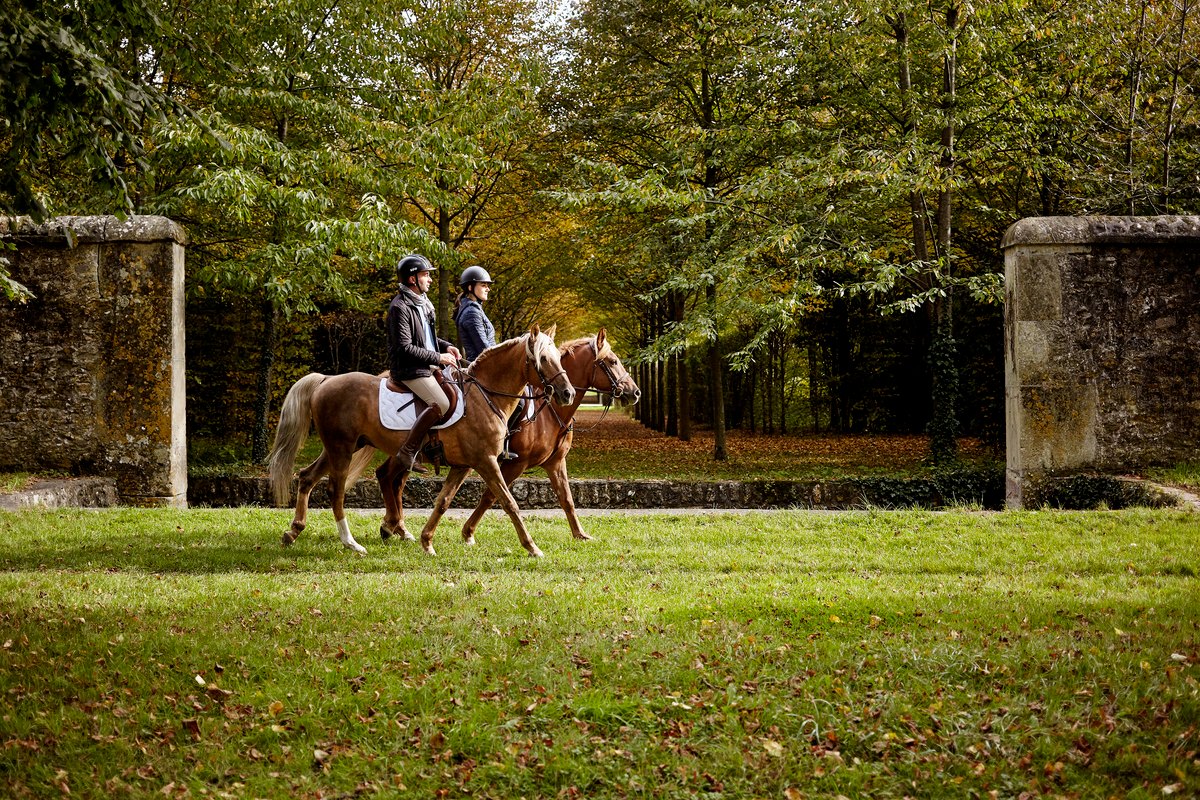 Two riders on chestnut horses in an autumn allée of the Park of Versailles with Horse in the City