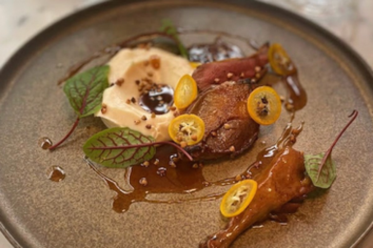 Plated dish of seared meat with citrus slices, cream, herbs and sauce on a stone-colored plate.